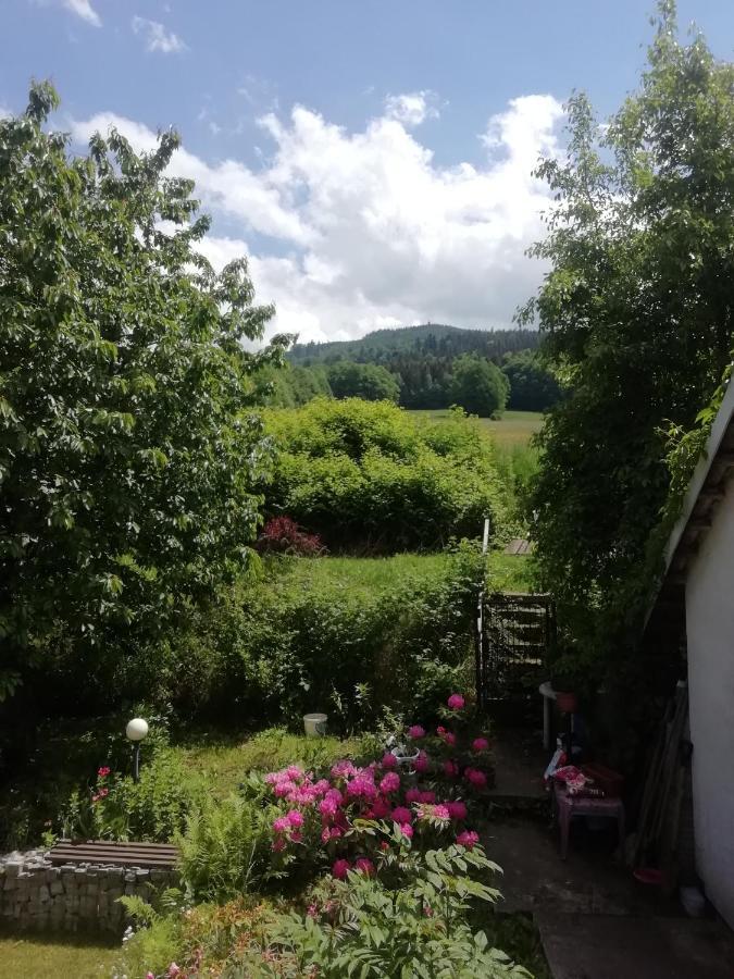 Penzion Pohoda - Apartmany Jesenik Bagian luar foto